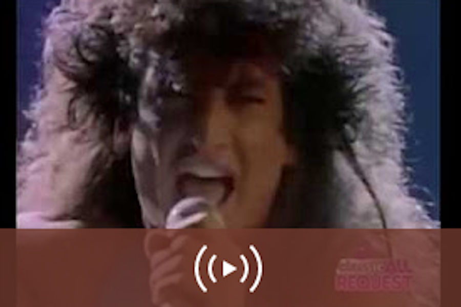 MSG – Gimme Your Love