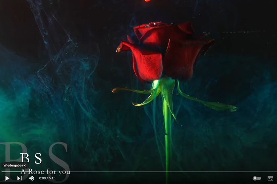 A Rose for you
